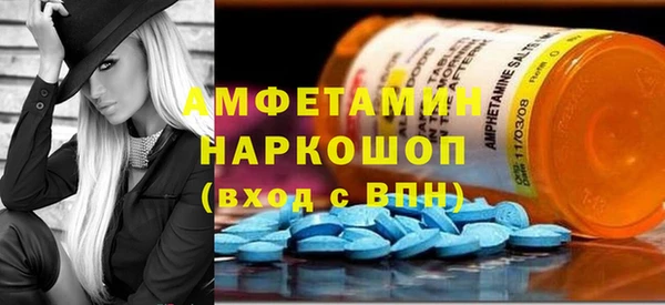 стаф Корсаков