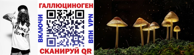 Галлюциногенные грибы GOLDEN TEACHER hydra зеркало Берёзовский